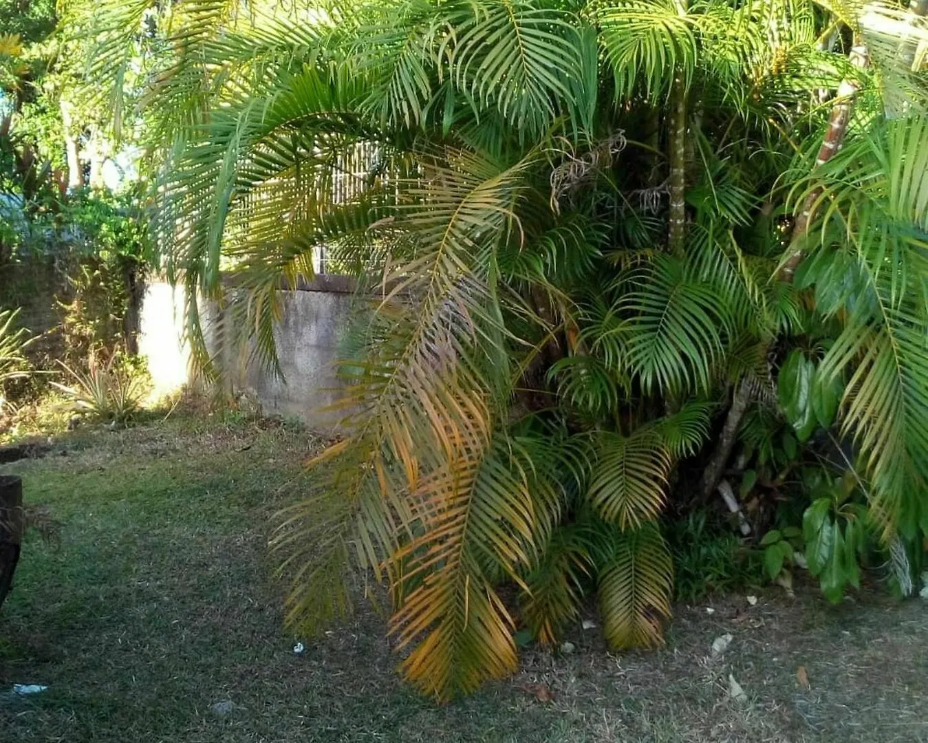 Bungalow With One Bedroom In Lamentin, With Pool Access, Enclosed Gard Baie Mahault